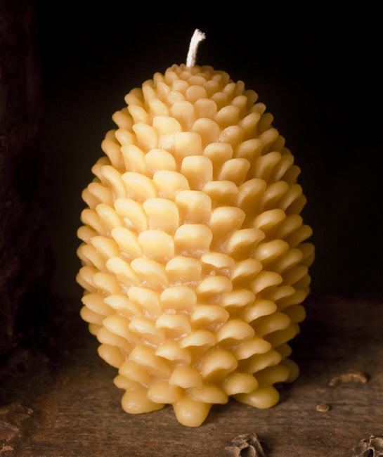 Large Beeswax Pinecone